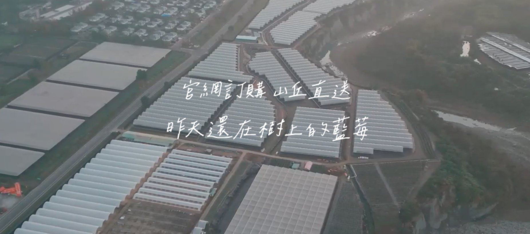 山丘藍 - 台灣藍莓農場 - ECviu 電商口碑評價網站