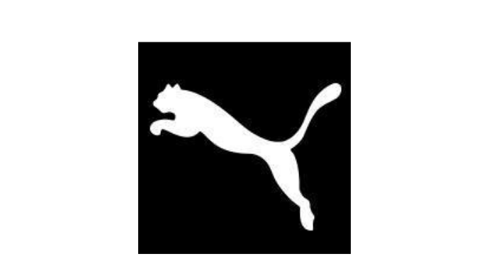 PUMA 鞋子