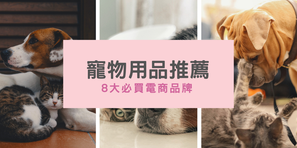 寵愛毛小孩！寵物用品推薦  —  8 大必買電商品牌！
